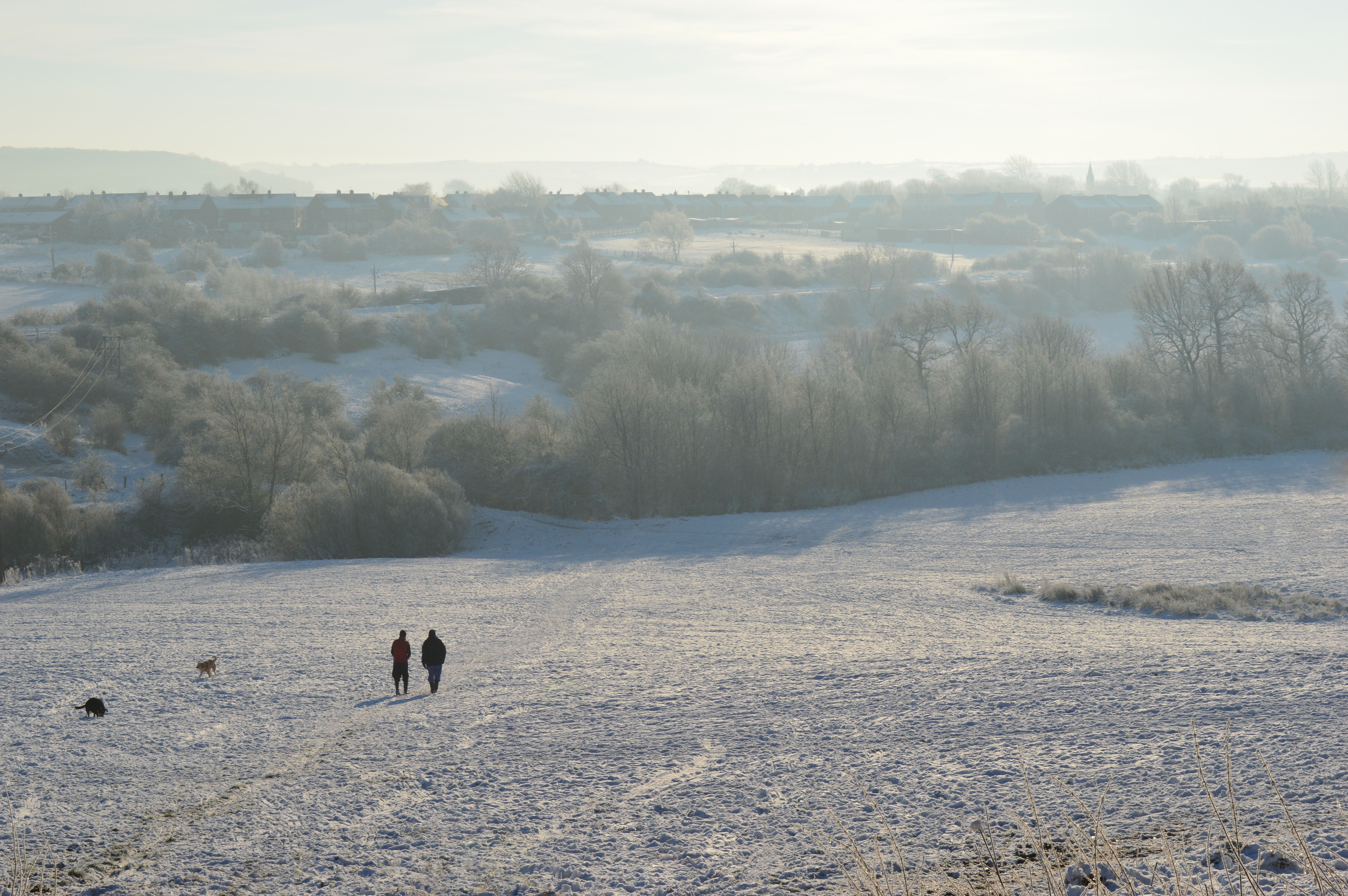 snowy landscape